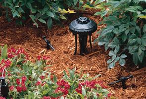 irigare-prin-picurare